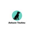 astucetoutou.fr